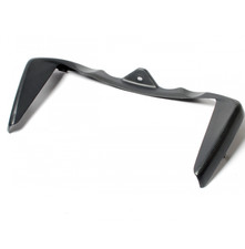 FIANCHETTI LATERALI RADIATORE CORNICE RADIATOR CARBONIO DUCATI MONSTER 821 1200