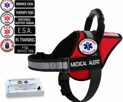 Medical Alert Service Dog Harness Vest PTSD Handle ID Pocket Mesh + 10 ADA Cards