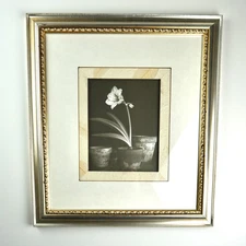 VTG Paragon Picture Gallery Framed Art Still Life Amaryllis Silver Gold Ornate