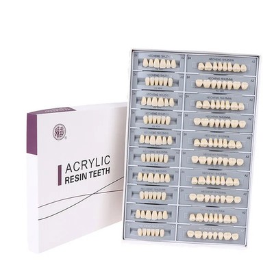 5 Set Dental Synthetic Polymer Teeth Resin Denture Dental Teeth Model for Defect