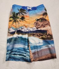 Boy's Dinosaur Swimming Trunks L 10-12