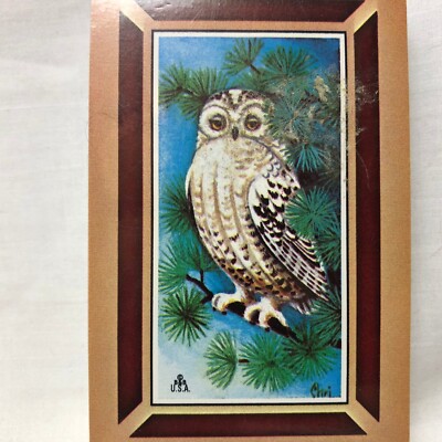 Trump Playing Cards Complete Deck With Owl | eBay