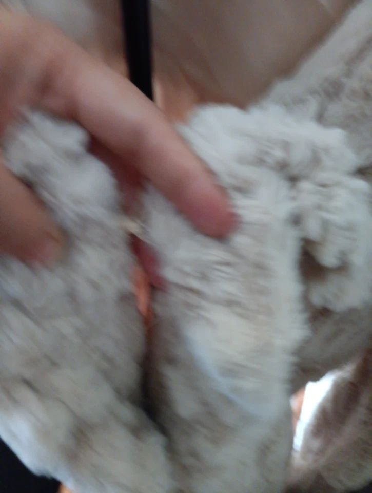 Damselle New York Tibet Lamb Coat Luxury Fur Size M Women's Light Brown - Image 4 of 4