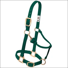 61WL Large Weaver Horse Halter Nylon Heat Sealed Buckle Chin Throat Hunter Green