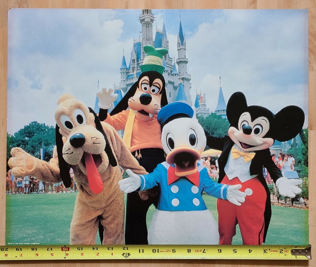 ディズニーワールド　パンフレットセット　2009年 ディズニーワールド パンフレットセット 2009年 ディズニーワールド