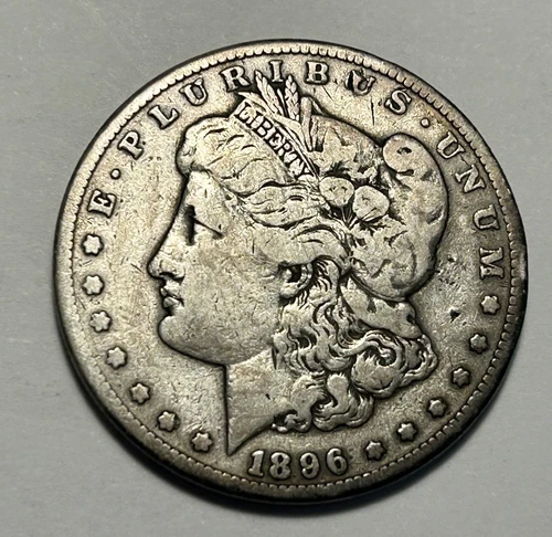 1896 S MORGAN DOLLAR FINE DETAIL