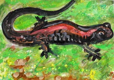 ORIGINAL ACEO Painting SALAMANDER Amphibian Spring Animal Nature Moss ATC ART