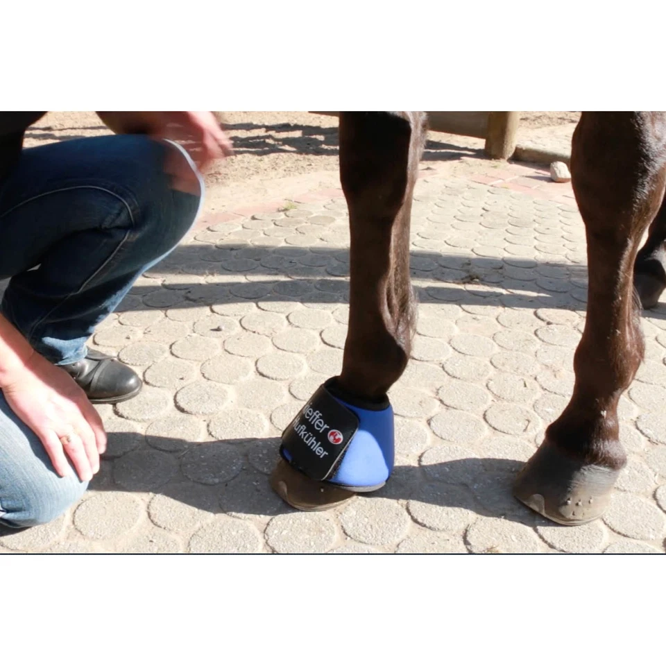Kieffer Hufkühler - L - Kühlglocke mit integrierten Kühlpads Pferdehufe Pferd - Bild 4 von 4