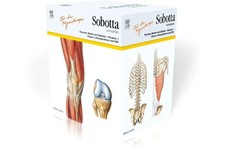 Sobotta Lernkarten für Physiotherapeuten | Lars Bräuer (u. a.) | Box | XIV