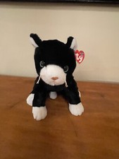Ty Beanie Buddies Zip Cat Kitten Black White Green Eyes Plush 1999 Vintage