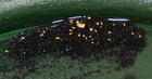 Alaskan Gold Panning Paydirt Bags 4 PACK Alaska Gold   — photo 2