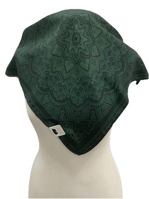 S29# R Di Ratti Green Silk Scarf  Made In Italy 17/16 Inch