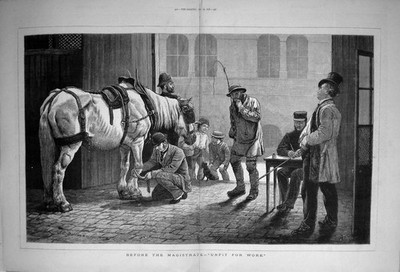 Antiker alter Druck 1878 Pferd ungeeignet Arbeit vor Magistrat Polizist Fine Art