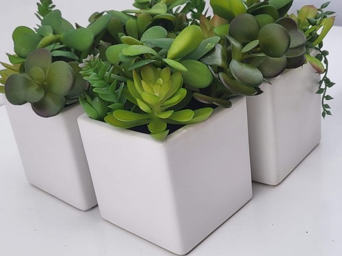 Lot of 4 Mini Artificial Succulent Fake Plants Ceramic White Planter Pot 4x4x7" - Picture 10 of 12