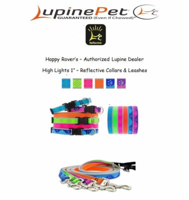 Lupine High Lights REFLECTIVE Dog Collars or Leashes - 1'' - Pick A Color/Size