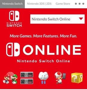 nintendo switch online ebay