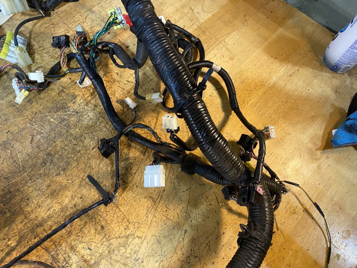 【とんたん】 Amazon.com: AUTO DN 2X Hatch Liftgate Lift Supports Gas