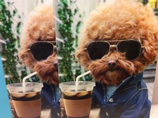 BIRTHDAY AVANTI GREETING CARDS New w/Envelopes LOT 2 "Have a Cool Birthday"