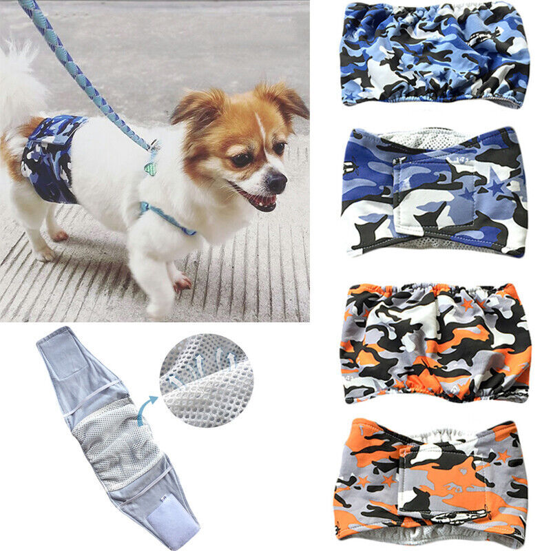 What Is A Male Dog Wrap