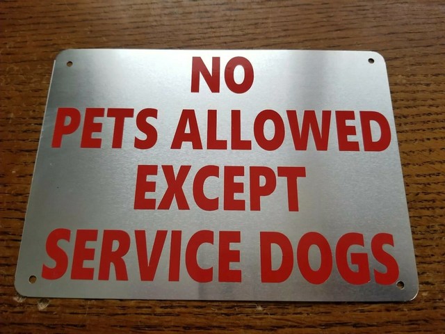 34 Top Photos No Pets Allowed Sign Printable / No Pets Allowed In Pool Area Sign With Graphic, SKU: K-7728