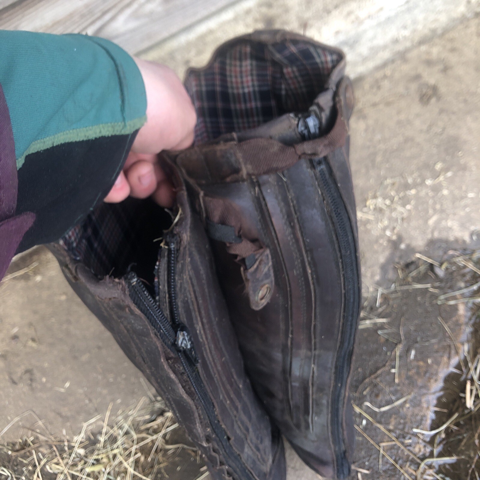 womens horse riding boots size 6 eBay