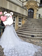 Brautkleid Ballkleid Langarm Tüll & Spitze Weiß mit Schleppe