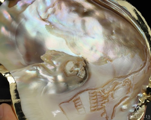 5.7" Shell Hand Carved Crystal Skull Fine Art Sculpture, Crystal Healing - Picture 7 of 7