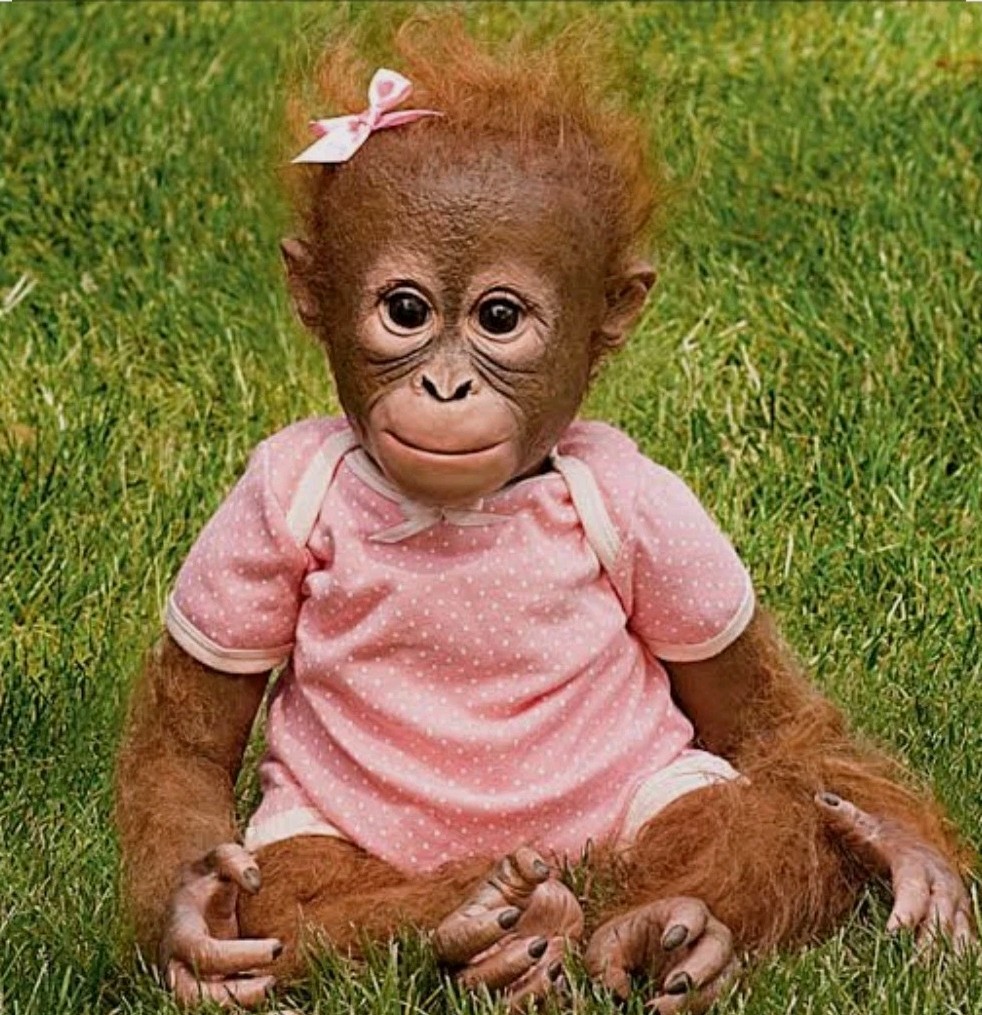 The Ashton-Drake Galleries Monkey Doll by Ina Volprich