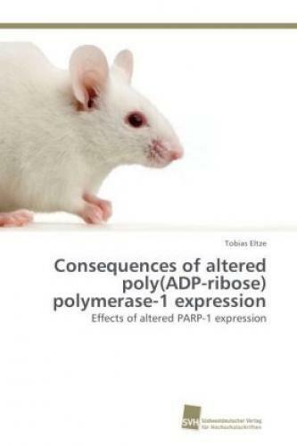 Thumbnail - Consequences Of Altered Poly(adp-ribose) Polymerase-1 Expression