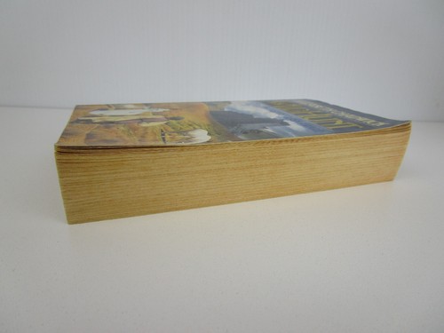 The Wild Hunt by Elizabeth Chadwick (Paperback, 1991) Book - Bild 4 von 7
