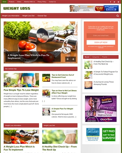 Weight Loss Niche Website Blog Wordpress | Amazon Clickbank Business For Sale