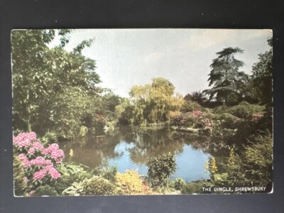 Antike viktorianische Postkarte zeigt The Dingle, Shrewsbury