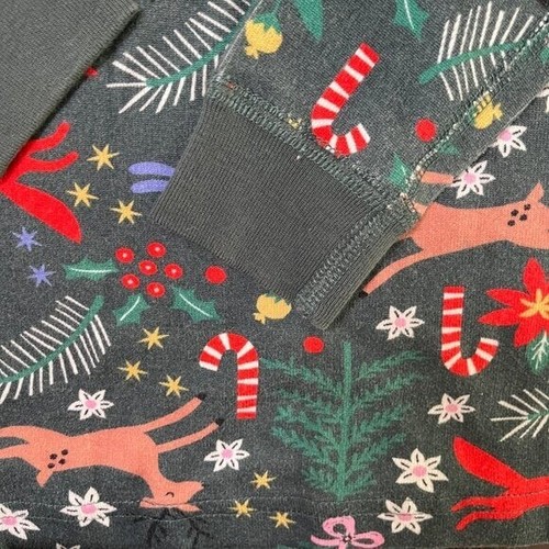 Hanna Andersson Long Sleeve 2 piece Winter Wonderland Pajama Set Size 10 - Picture 5 of 7