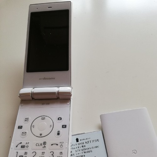 Samsung Galaxy Flip Phone Used, Clean, 6+ years old, Japan Model