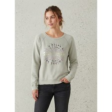 O'Neill Surf Graphic Logo Raglan Pullover Sweatshirt Sage Green Large