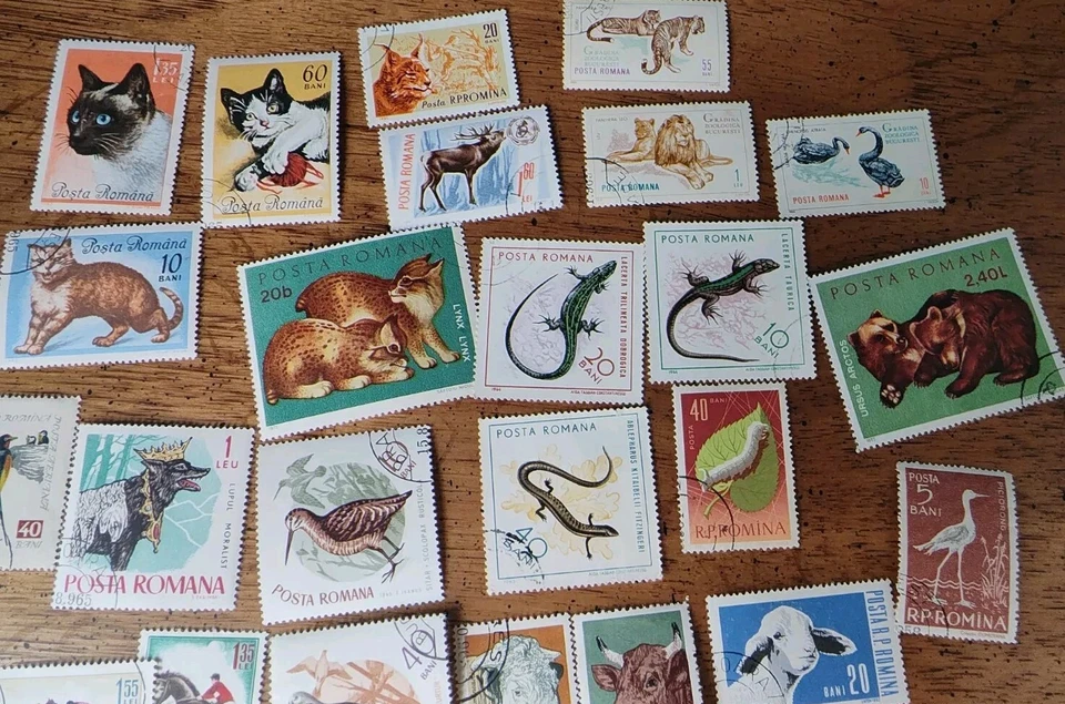 Lote de 60 SELLOS ANIMALES RUMANÍA Lote Usado CTO Bisagras Gatos, Insectos, Pájaros, Osos Foto 3 de 4