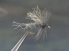 6 Flies -Gray Midge Emerger Soft-Hackled Dry Fly