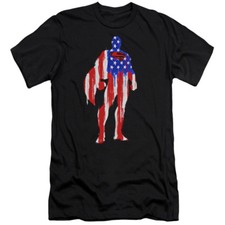 SUPERMAN FLAG SILHOUETTE Licensed Adult Men's Graphic Tee Shirt SM-6XL