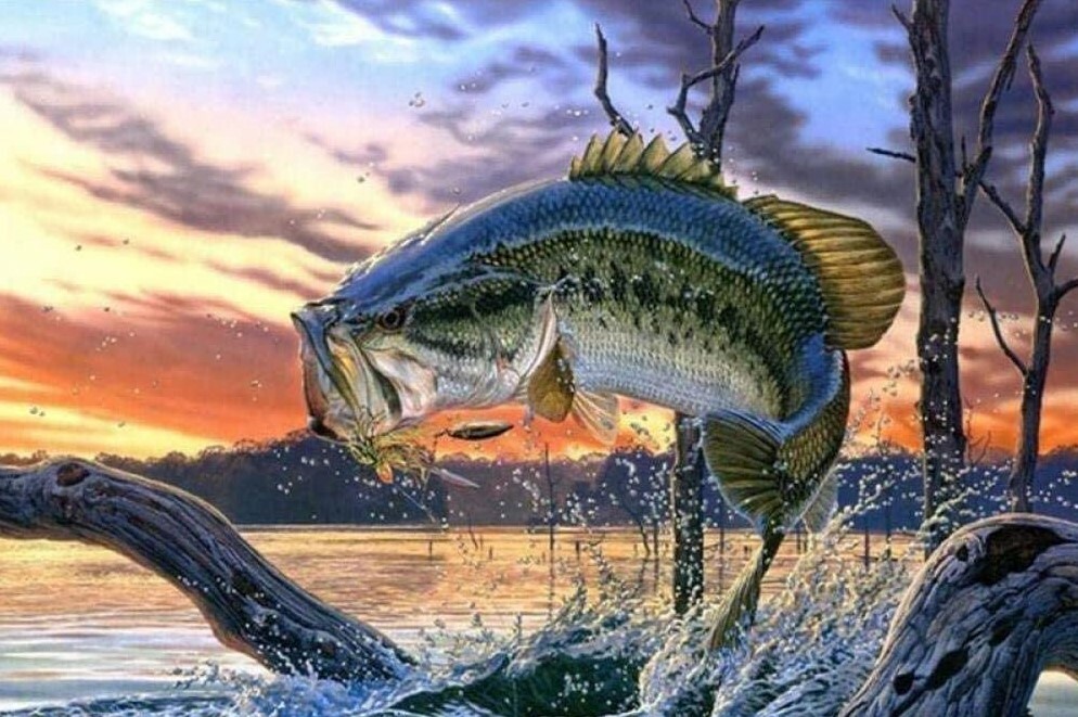 Bass Fishing Lake Sunset 5D Diamond Painting Kits Embroidery Cross Stitch  Art