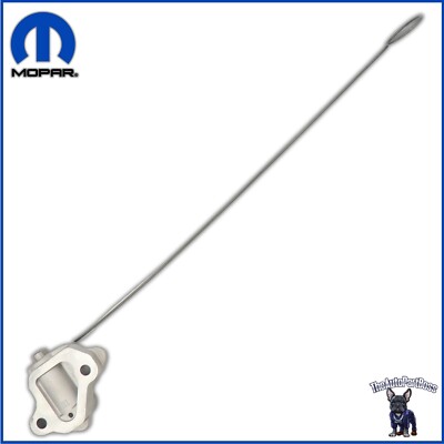 トントン エクサエレトドン Adidas ZX Torsion Bright Cyan Linen Green