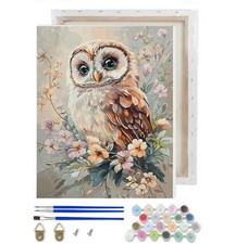 Owl Paint By Numbers Kit For Adults Beginners DIY Oil Painting Art Decor 9x12