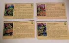 Vintage Donatello Michaelangelo Leonardo Raphael Portrait File Cards Lot 1988