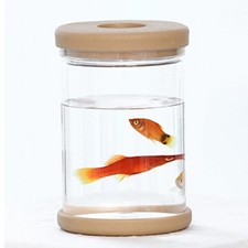 Clear Plastic Plant Container for Small Indoor Plants Drought Resistant