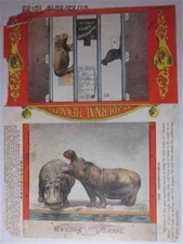 VINTAGE HIPPOPOTAMUS HABITAT NEW YORK NY JOURNAL PAPER DOLL  1902 UNCUT SCARCE