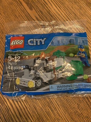 lego 30313