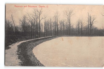 Postcard Reservoir & Arboretum Oberlin Ohio 1908 E.J. Goodrich Trees Early Scene