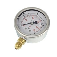 Manometer 1/4 Unten, 0-16 Bar