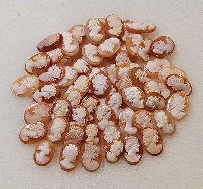 Lot Of 5 Genuine Natural Carved Shell Cameos Conch Shellnew Old Stock Unmounted 