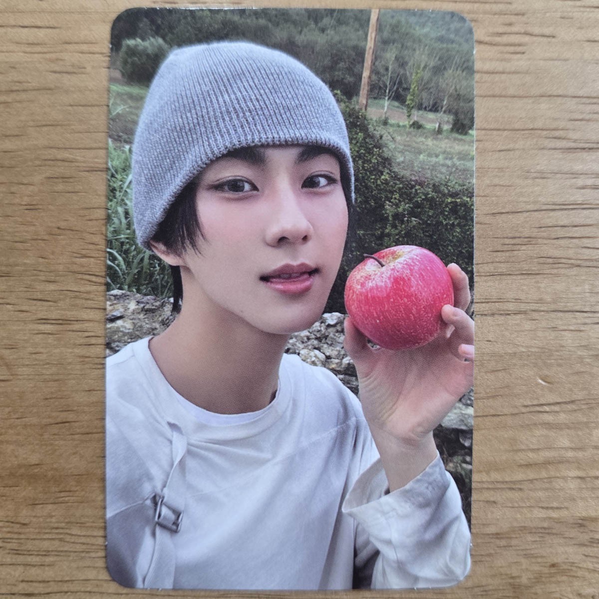 タレントカード ENCHANTED BITE Jungwon ENHYPEN JUNGWON DESIRE UNLEASH MAKE VER | Mercari