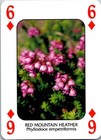 Bild 36 von 54